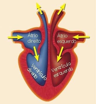 O que é fibrilação atrial?